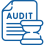 audit
