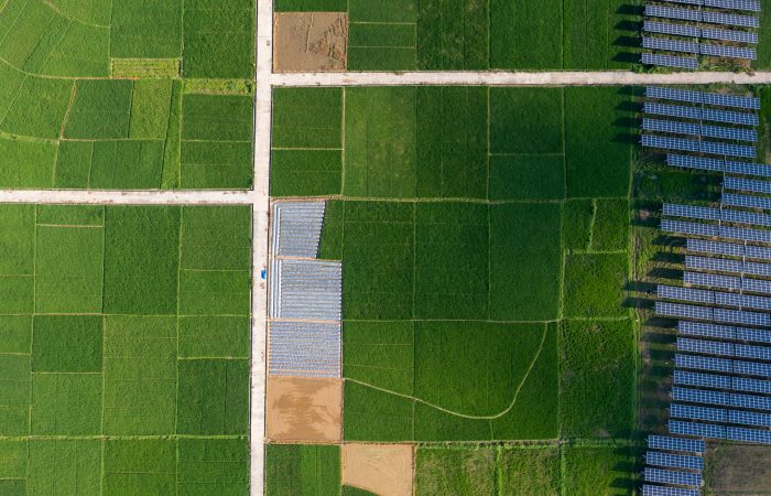 Solar energy and the surrounding rice field